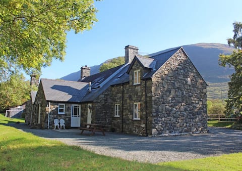 Granar Gynolwyn