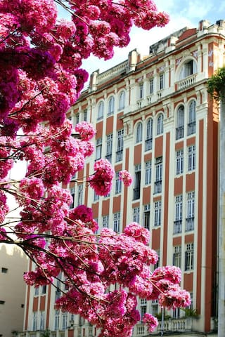 Apartamento vintage na Glória