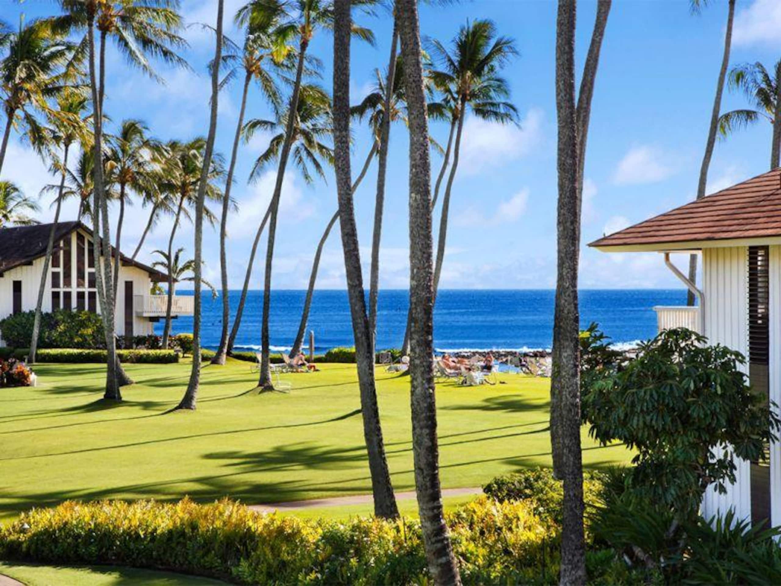 Condo in Koloa · ★4.5 · 1 bedroom · 1 bath - Photo 11