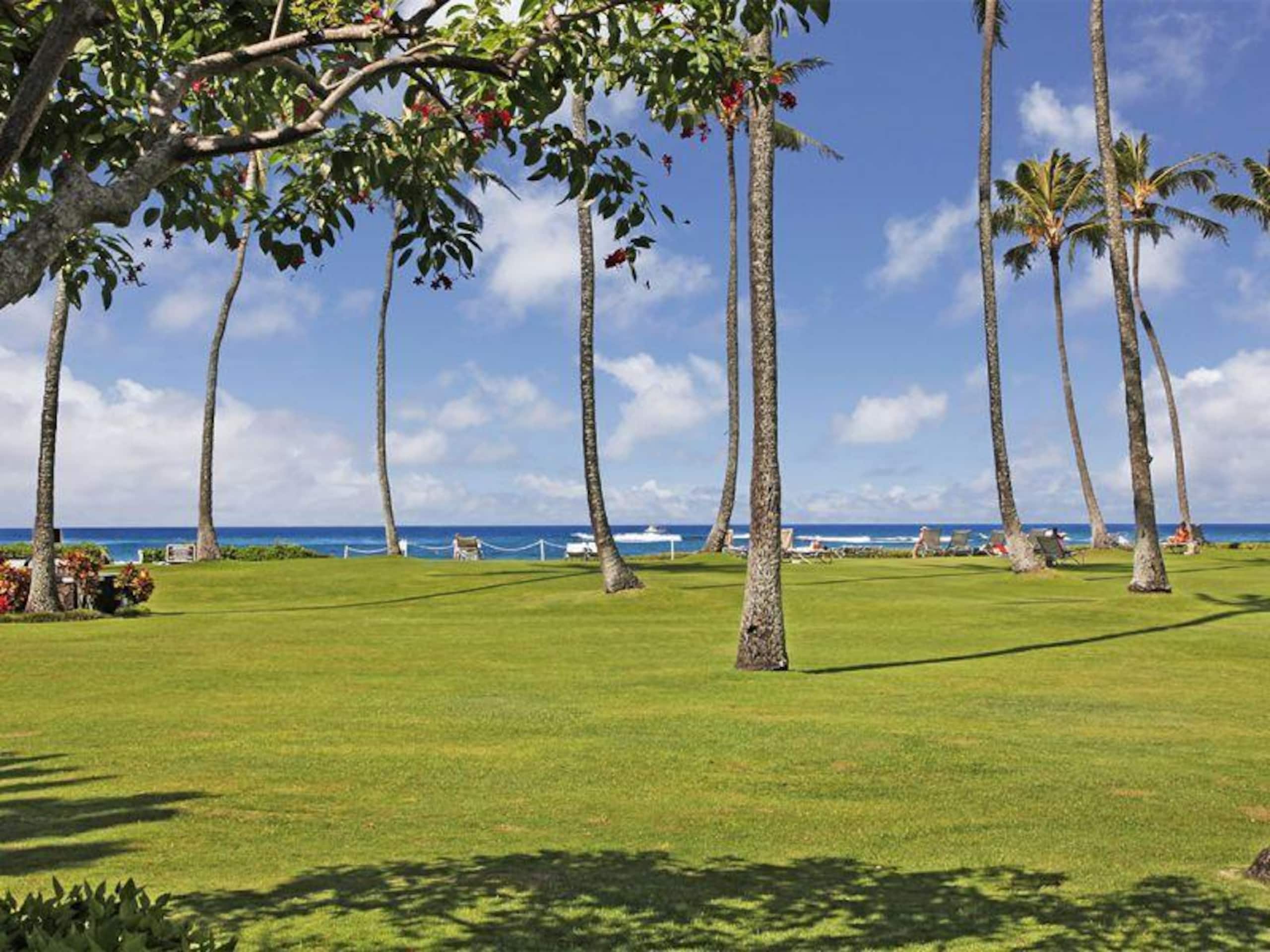 Condo in Koloa · ★4.5 · 1 bedroom · 1 bath - Photo 14
