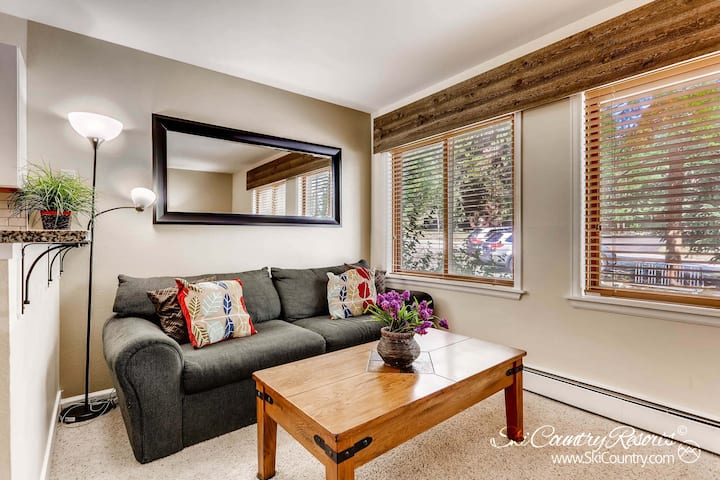 Wildwood Suites 206 - Summit County, CO