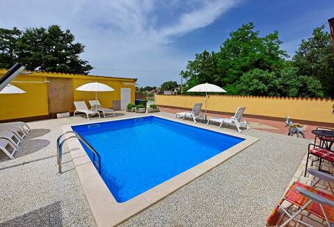 Popular Airbnb listing: Laura - apartment a with terrace and pool view in Nova Vas
