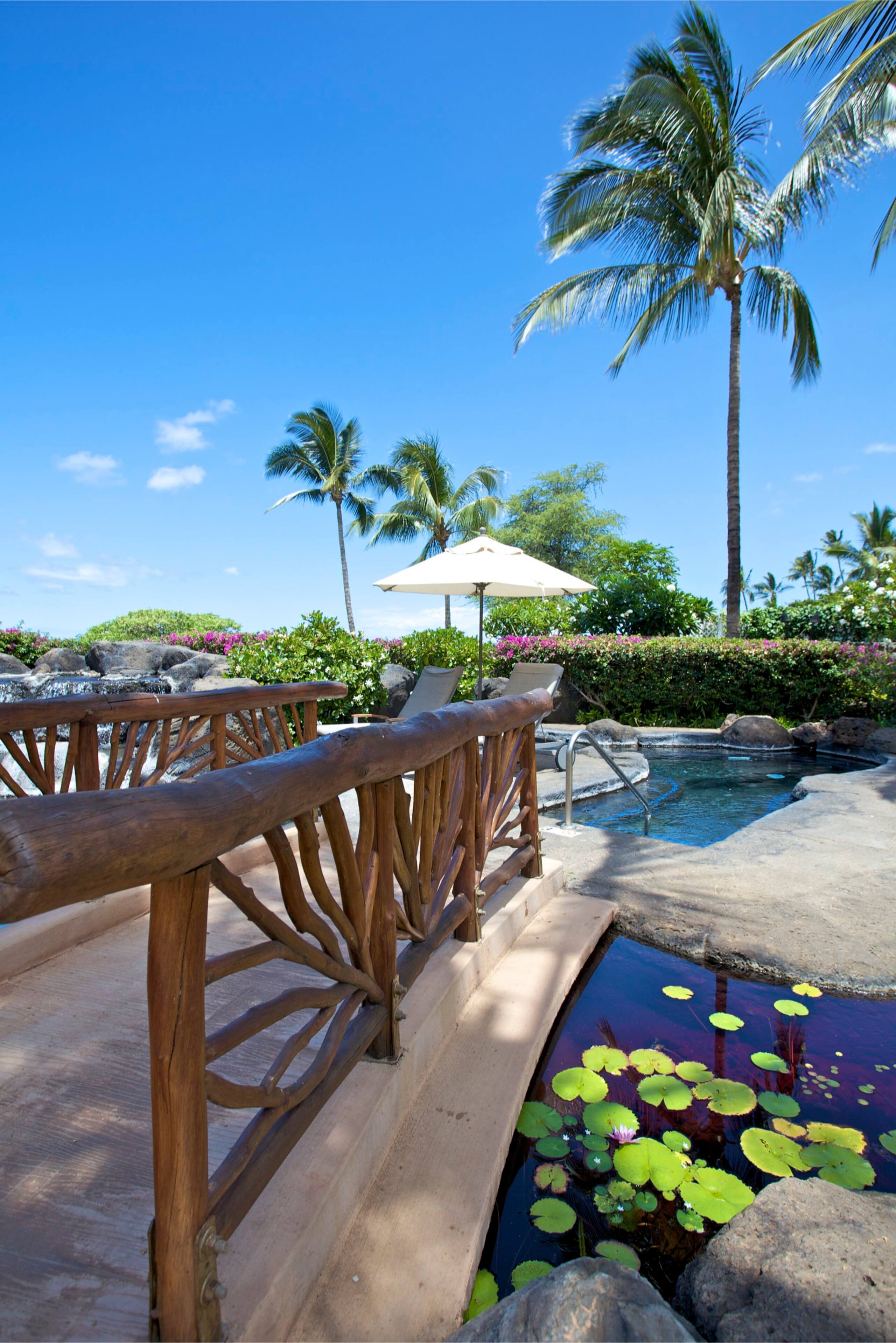 Villa in Kihei · ★5.0 · 2 bedrooms · 3 beds · 2 baths - Image 50