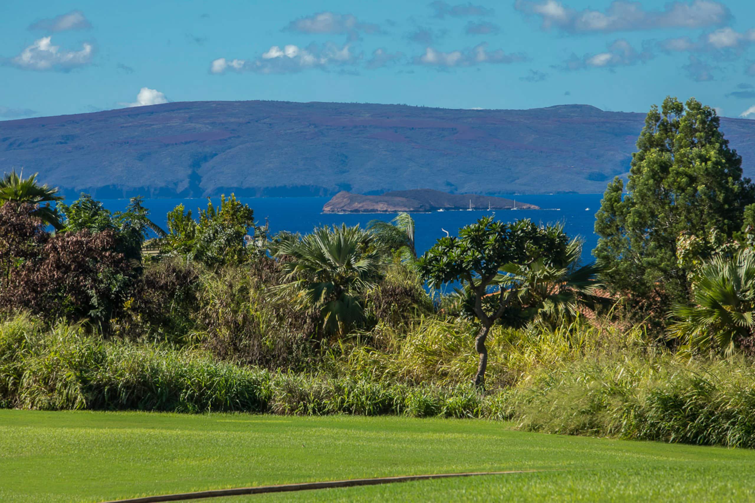 Condo in Kihei · ★4.91 · 1 bedroom · 2 beds · 2 baths - Image 43