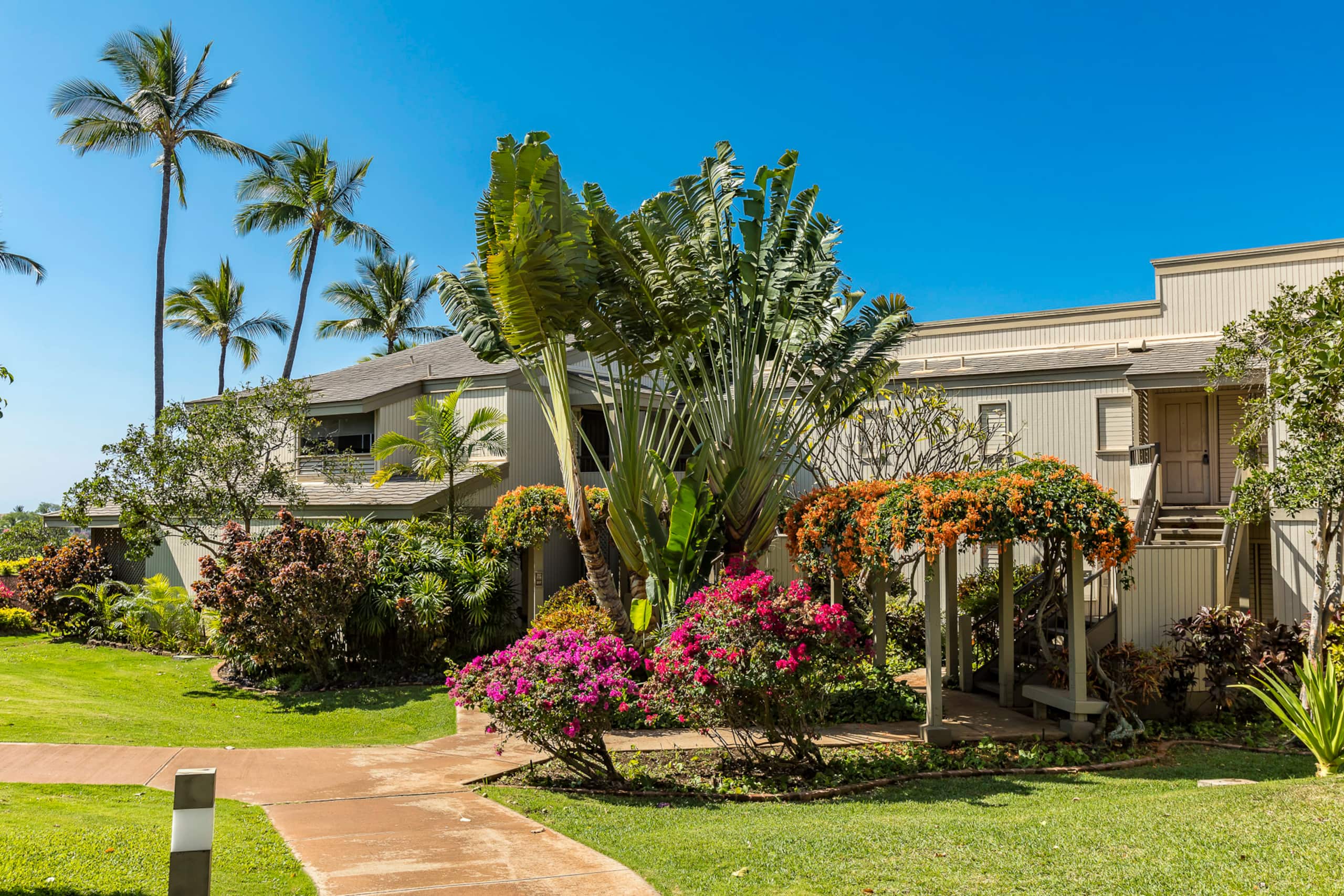 Condo in Kihei · ★4.91 · 1 bedroom · 2 beds · 2 baths - Image 31