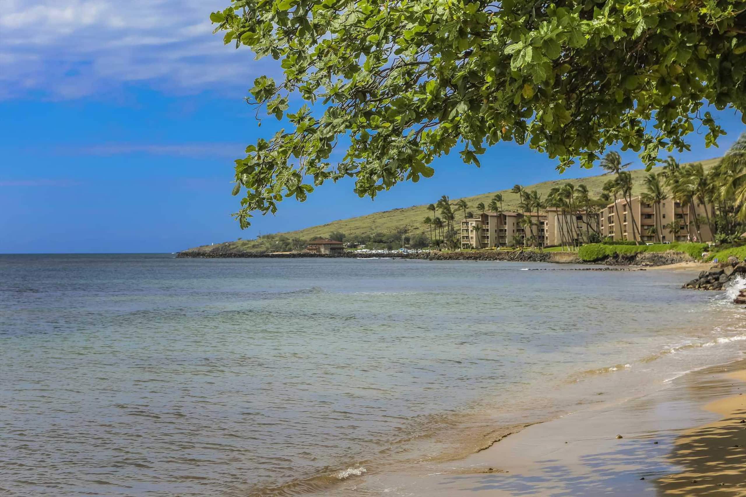 Condo in Maalaea · ★4.76 · 2 bedrooms · 2 beds · 2 private baths - Image 40