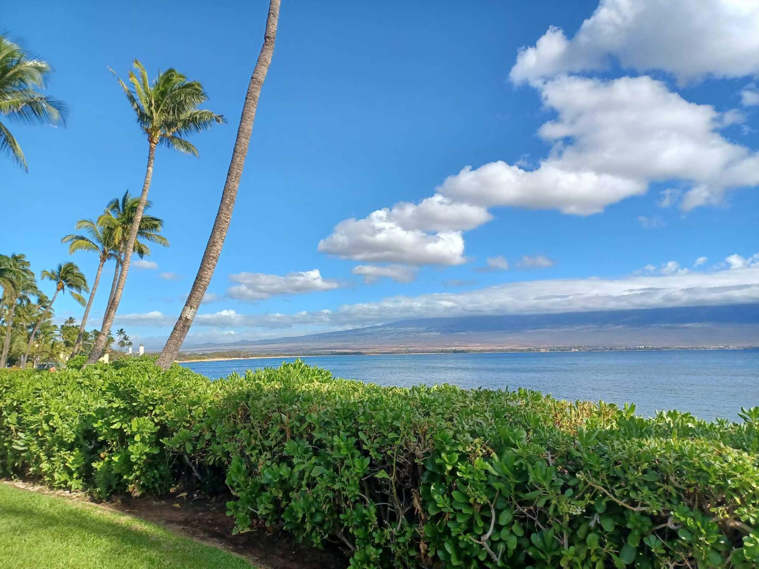 Condo in Maalaea · ★4.76 · 2 bedrooms · 2 beds · 2 private baths - Image 22