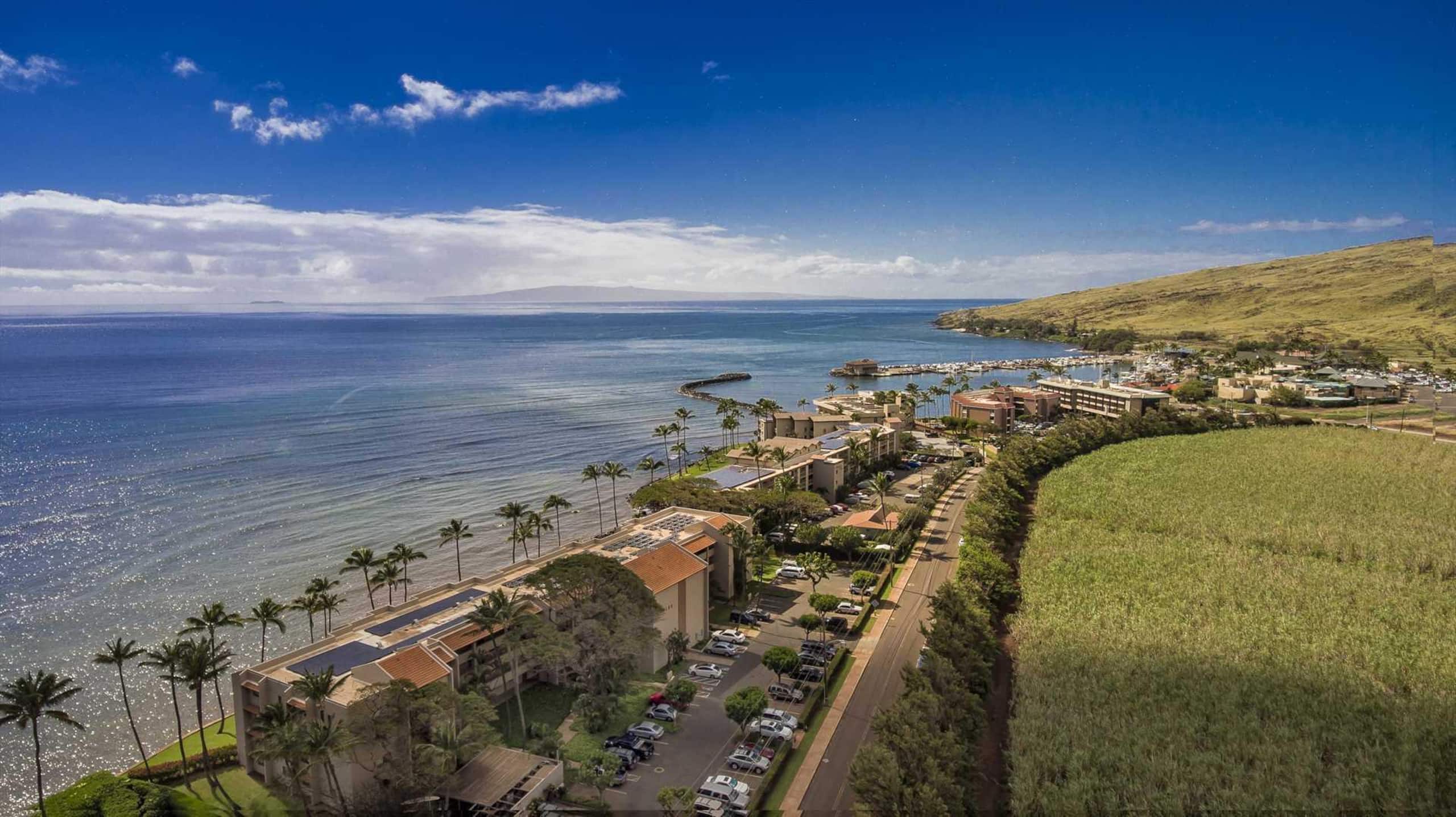 Condo in Maalaea · ★4.76 · 2 bedrooms · 2 beds · 2 private baths - Image 34