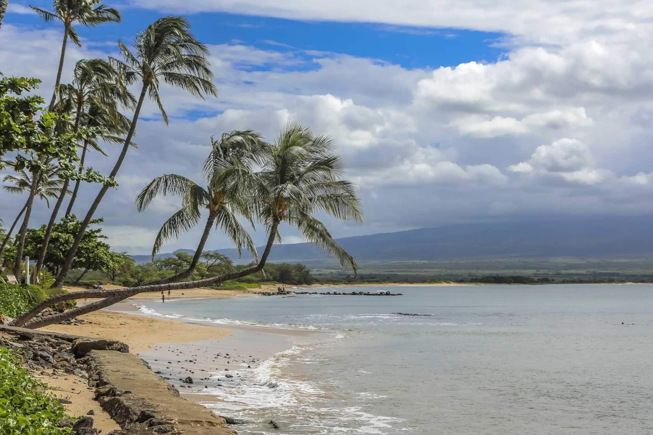 Condo in Maalaea · ★4.76 · 2 bedrooms · 2 beds · 2 private baths - Image 39