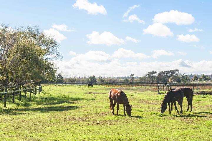 Forrest Beach Estate gallery image 2