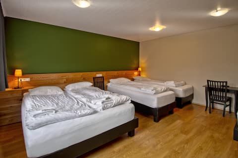 Superior Family Room *Private Bathroom*