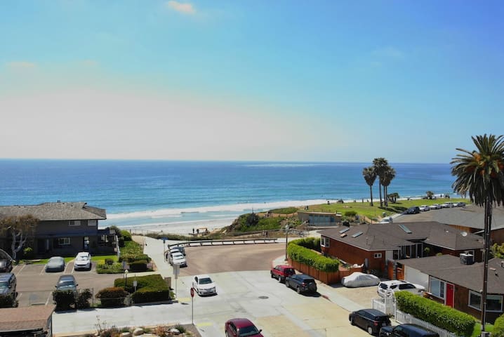 The Shark – Pacific Beach