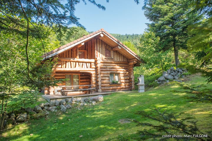 Magnifique Chalet Rondins De 130 M², Dans Les Vosges, Wifi, Proche Pistes - Alpen