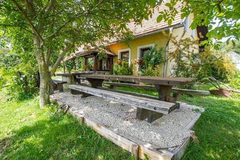 Big  country house in the middle of vineyard
