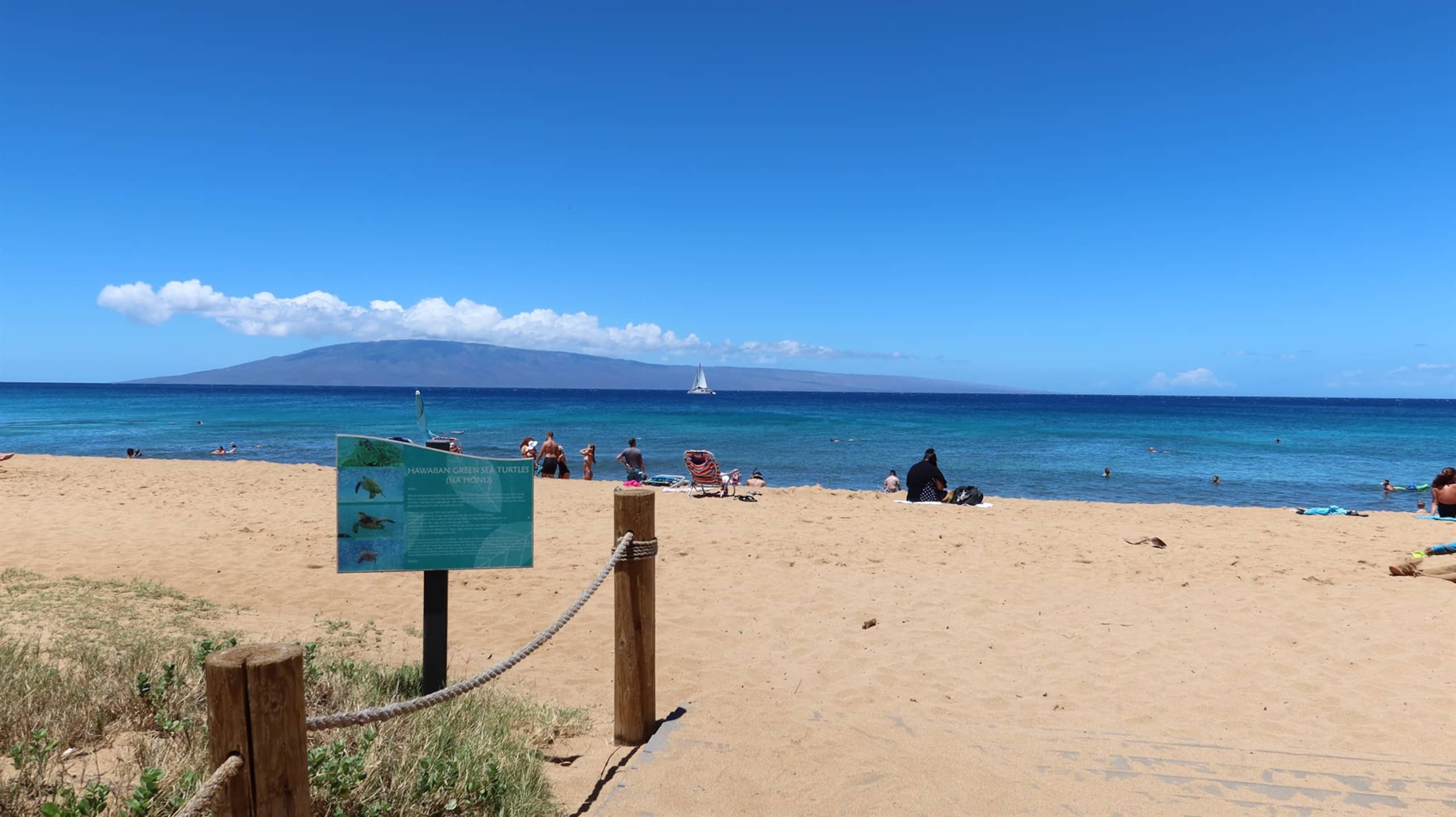 Condo in Lahaina · ★4.65 · 2 bedrooms · 3 beds · 2 baths - Image 46
