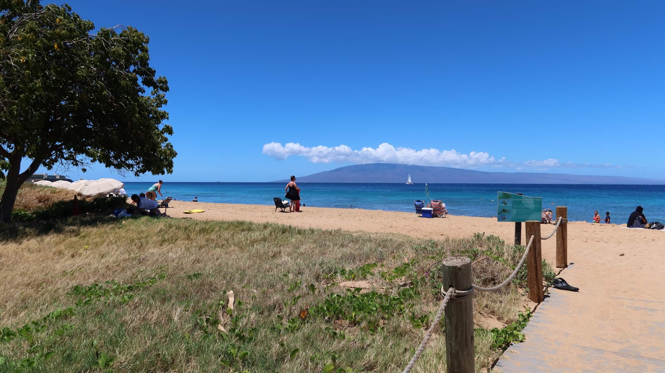 Condo in Lahaina · ★4.65 · 2 bedrooms · 3 beds · 2 baths - Image 59