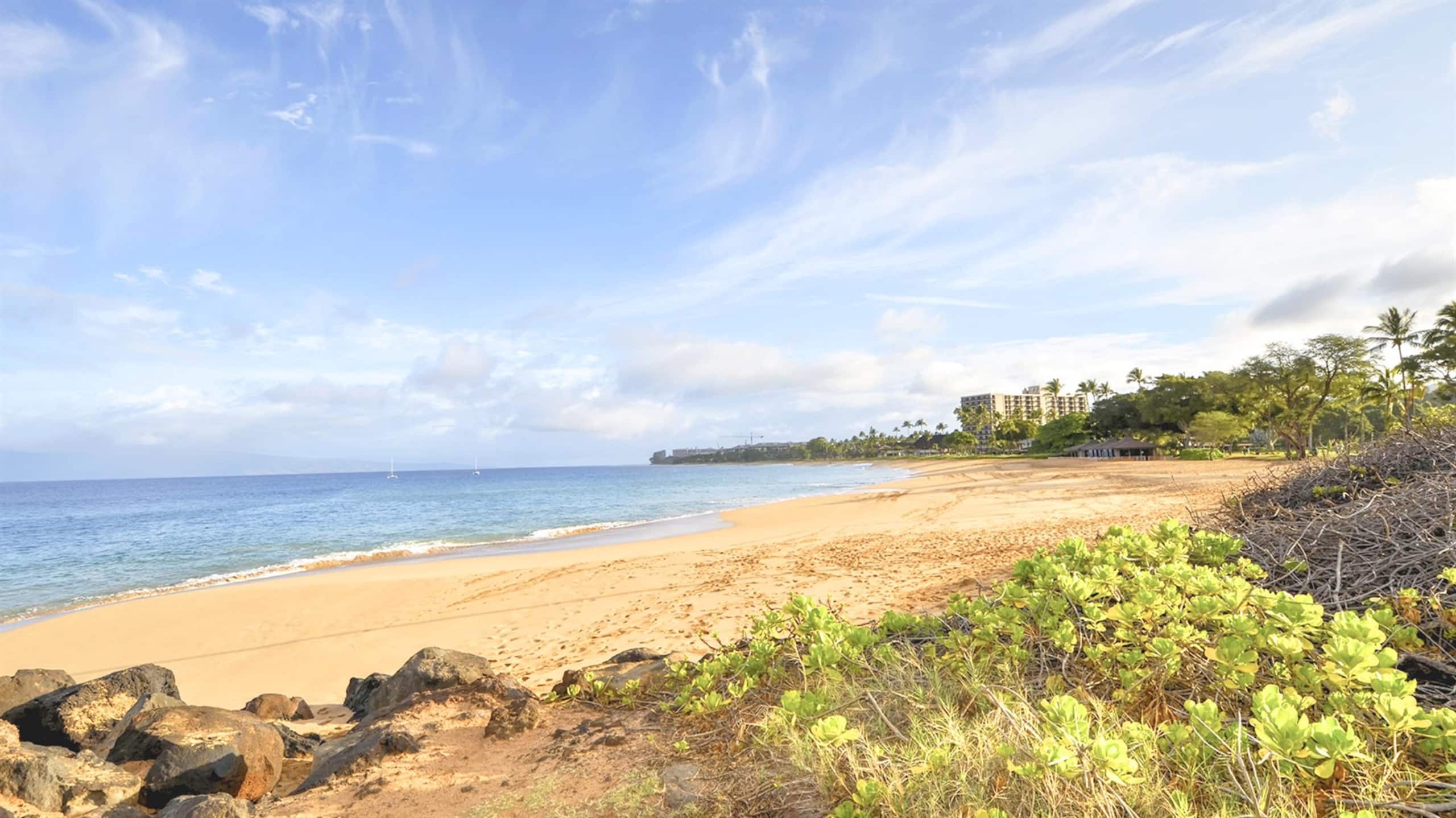 Condo in Kaanapali · ★4.81 · 1 bedroom · 2 beds · 2 baths - Image 35