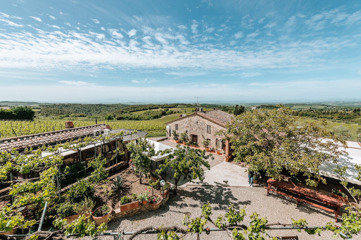 A charming rural estate is set against a backdrop of rolling hills, with vineyards and greenery encircling the courtyard. Sunlight bathes the stone building, highlighting its rustic features. The outdoor area includes a variety of plants and seating options, offering a serene environment.