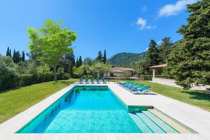 Can Curt gallery image 4