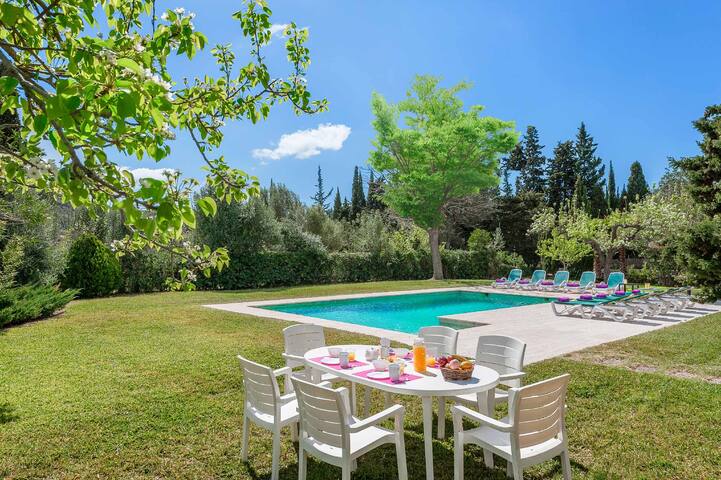 Can Curt gallery image 5