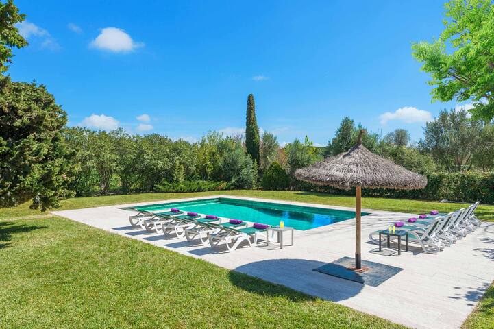 Can Curt gallery image 3