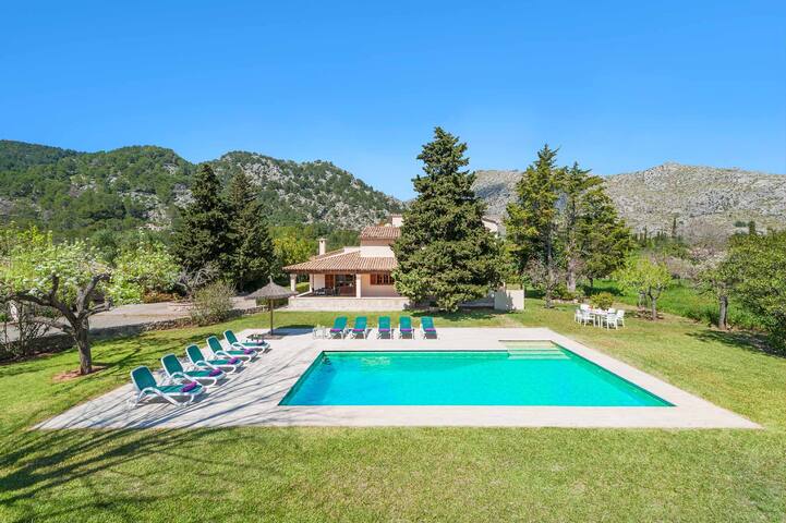 Can Curt gallery image 2