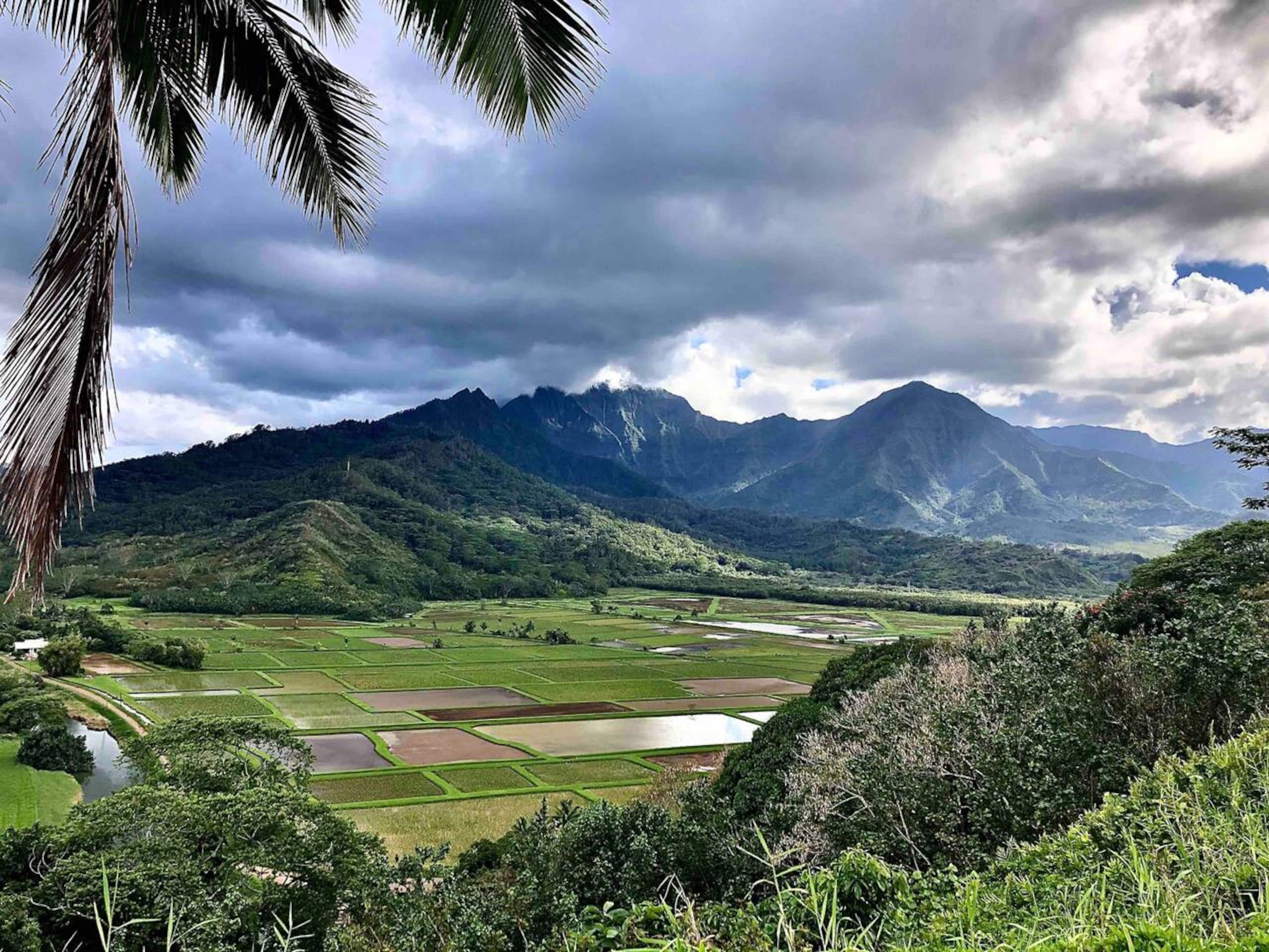 Princeville Top-Floor Retreat w/ AC & Pool  - Image 24