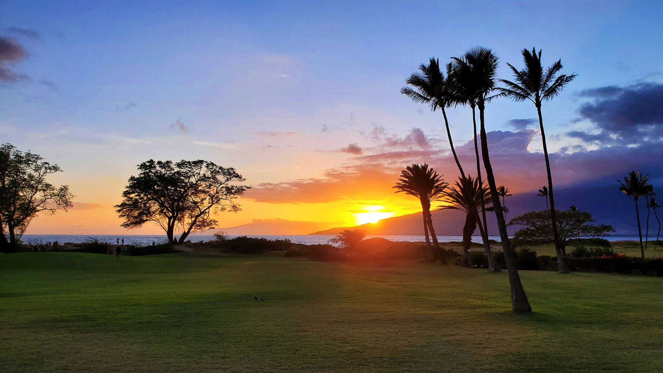 Beautiful oceanview one bd deluxe with FREE a/c - Image 3