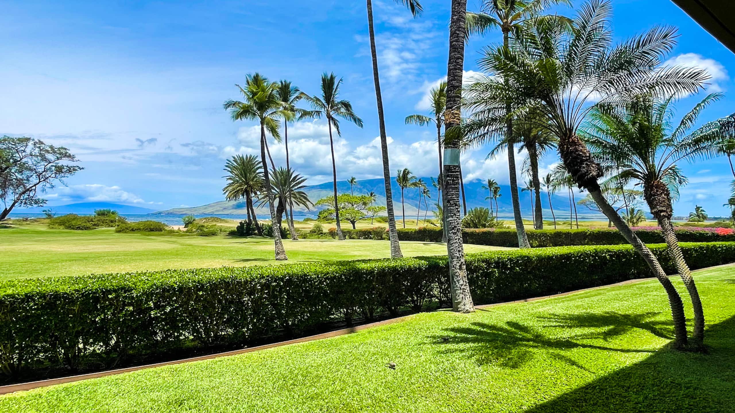 Beautiful oceanview one bd deluxe with FREE a/c - Image 2