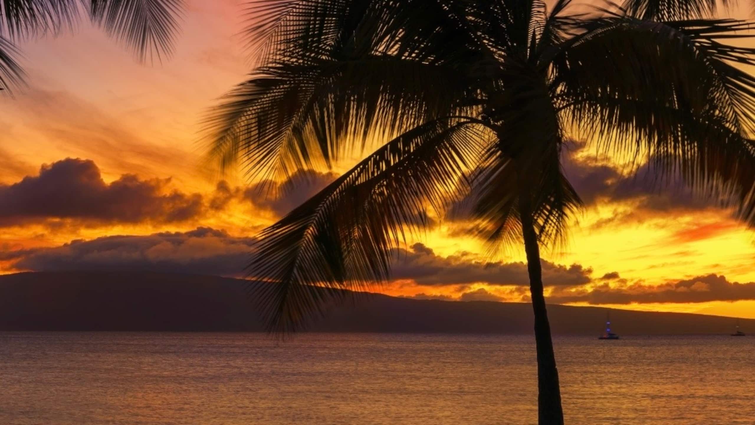 Beautiful oceanview one bd deluxe with FREE a/c - Image 40