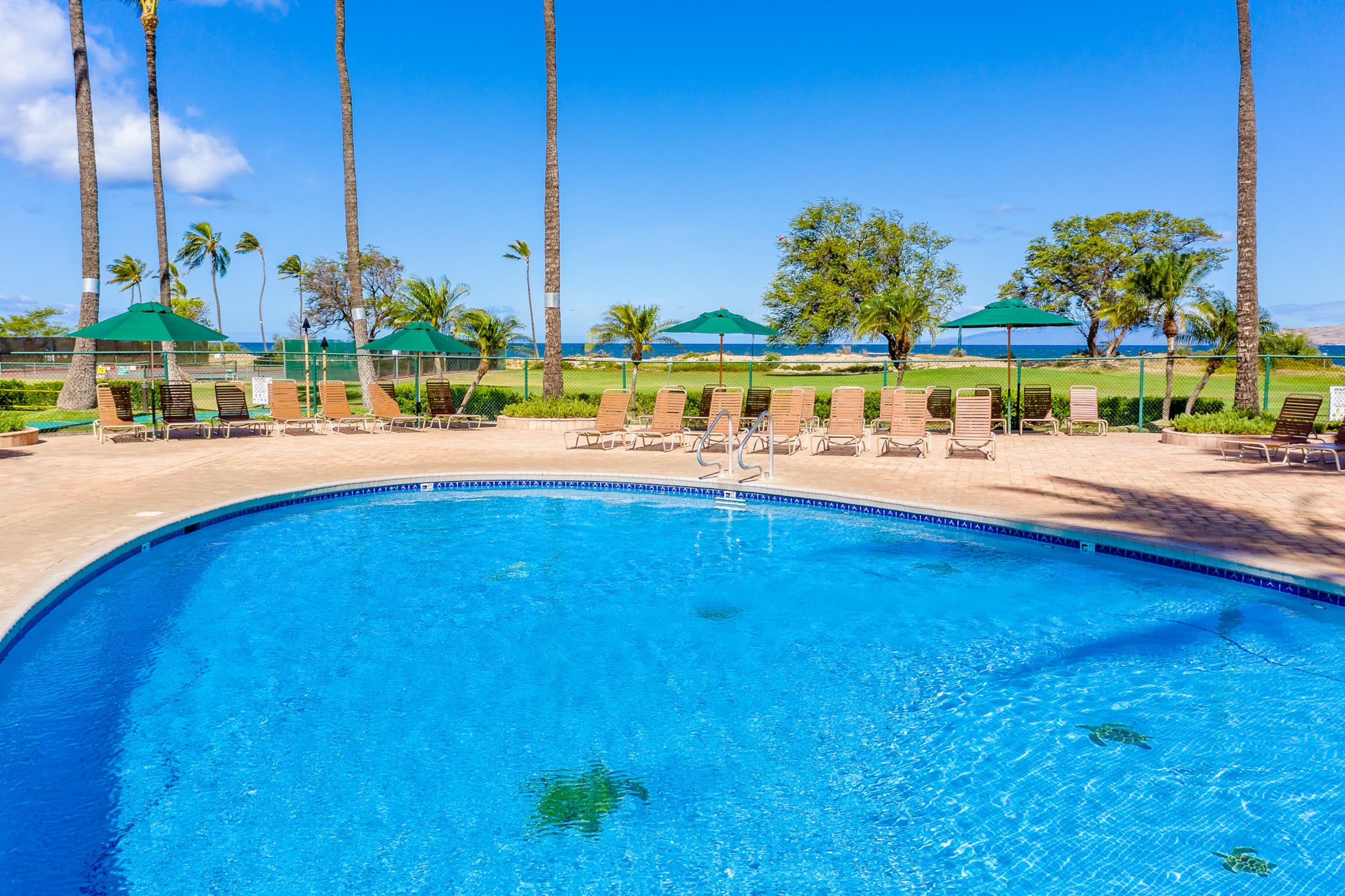 One bd Ocean grd fl, AC, wifi, pool, hot tub  D101 - Image 16