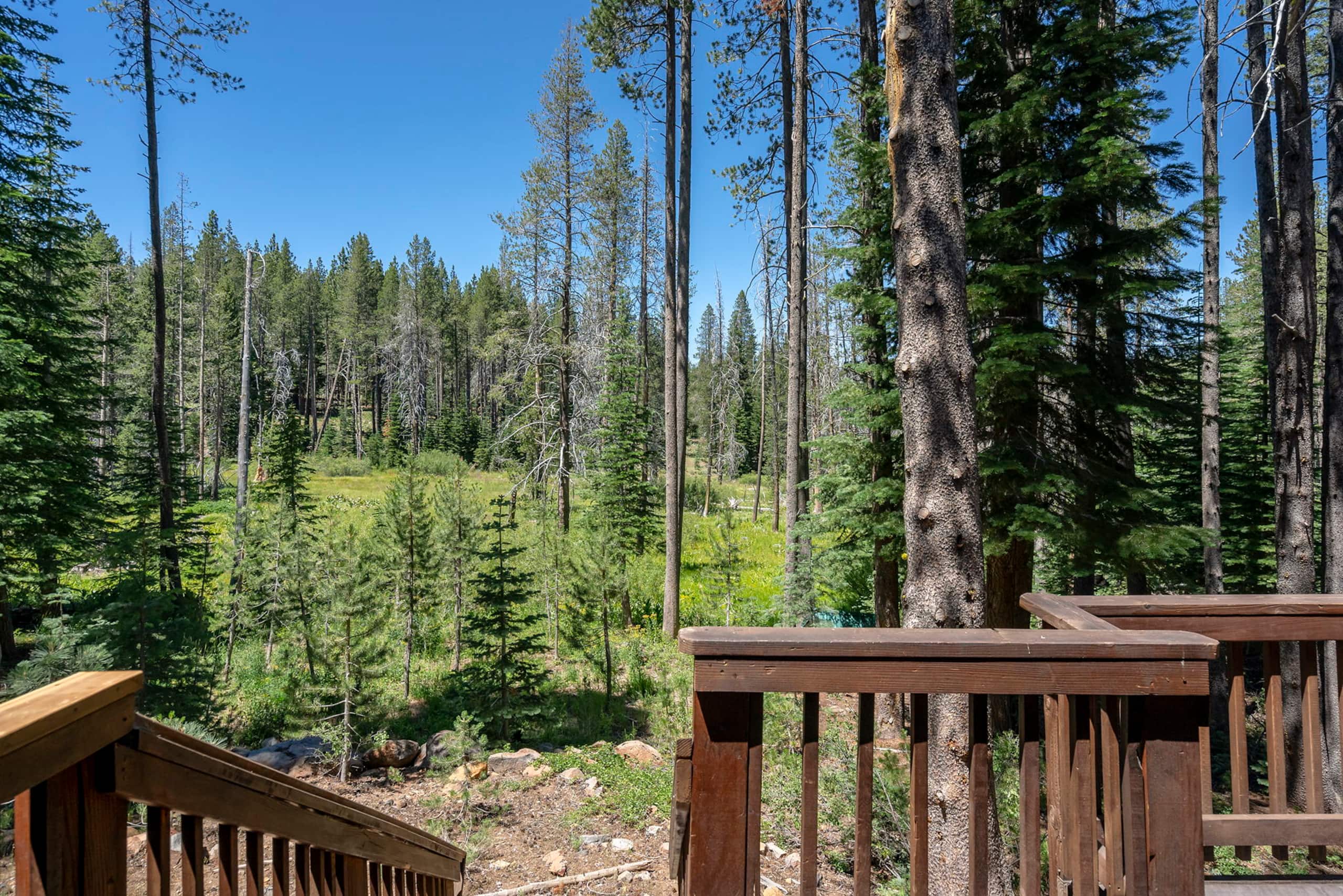 Tahoe Donner Mountain View Cabin with Pool Access - Photo 27