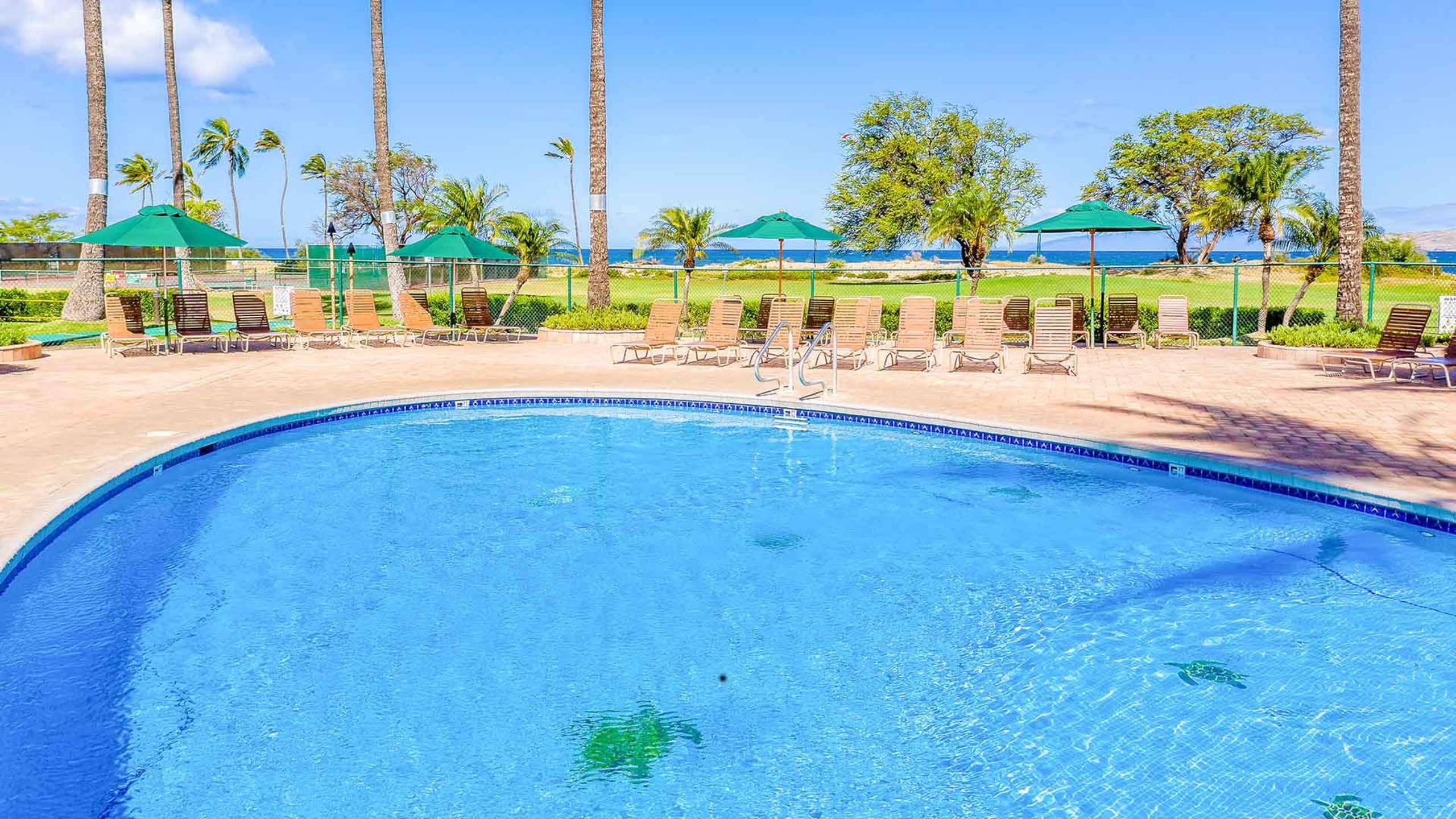 Two Bd Ocean view, AC, wifi, pool, hot tub D204 - Image 22