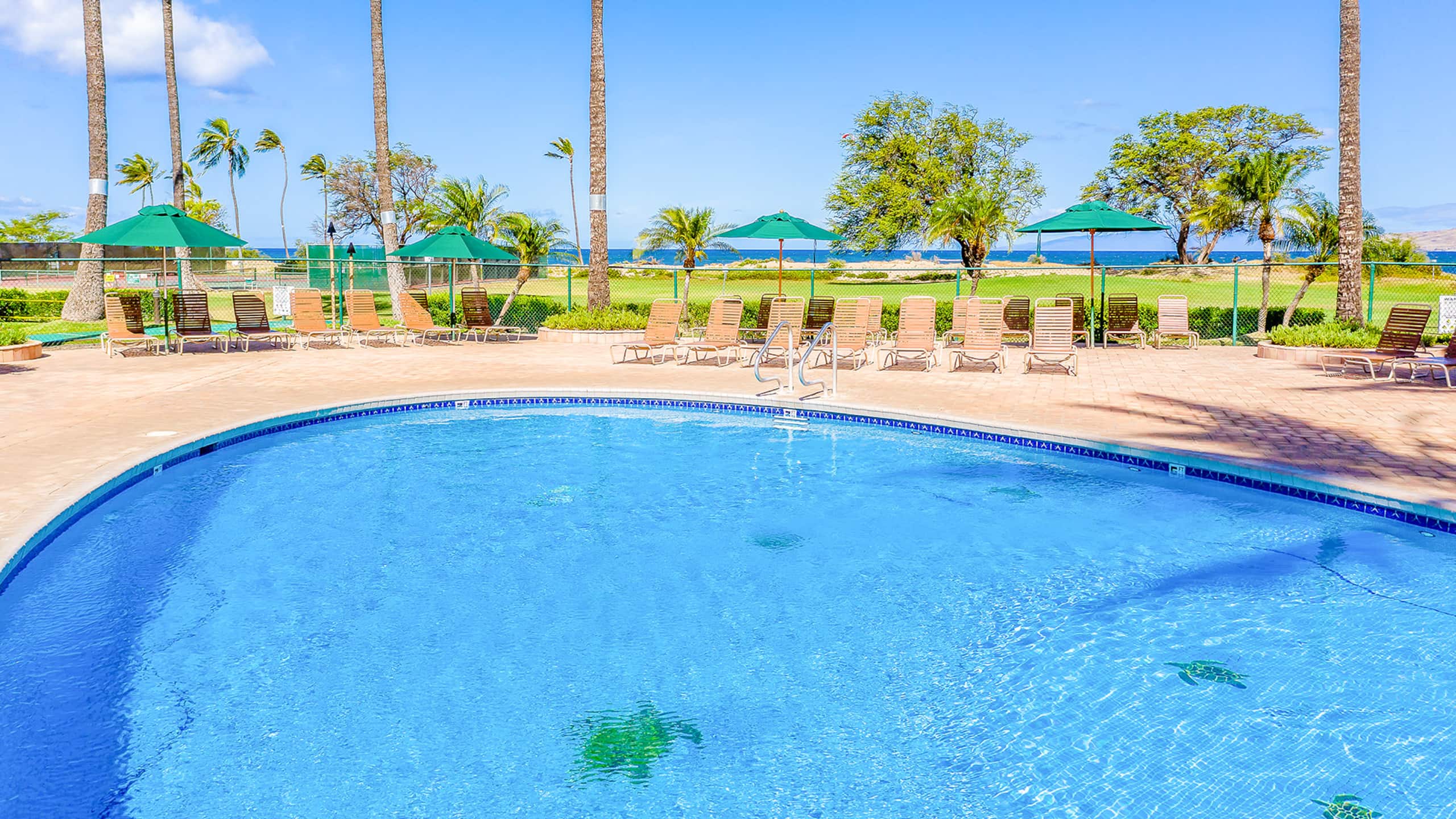 One Bd Partial Ocean, AC, wifi, Pool, Hot tub B210 - Image 18