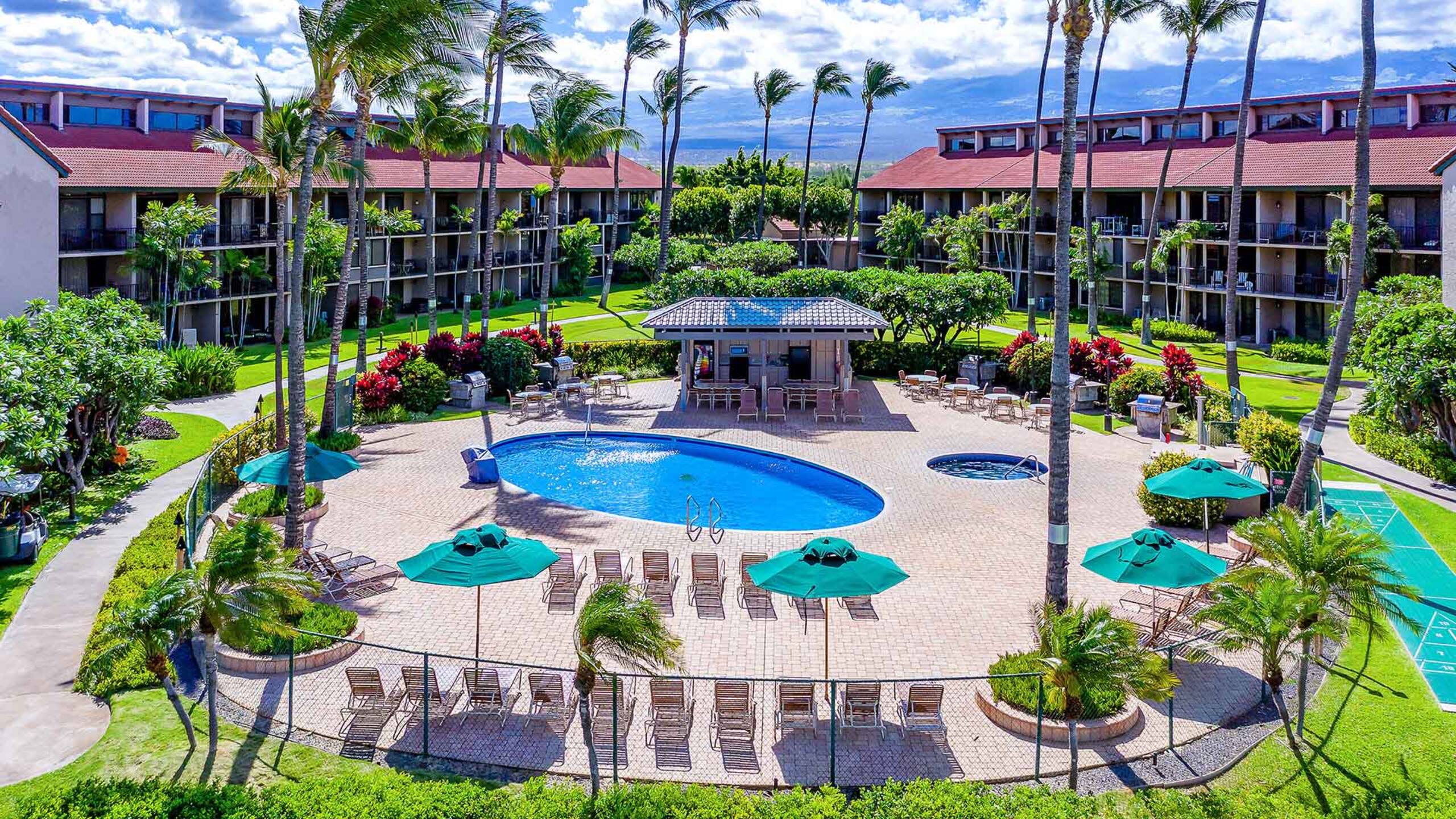 Two Bd Ocean View, AC, wifi, pool, hot tub D303 - Image 25