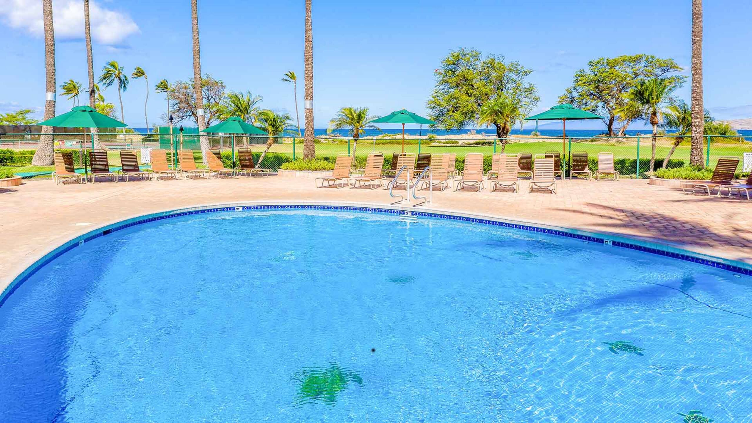 One Bd ocean view, Budget price, wifi, pool, A206 - Image 14