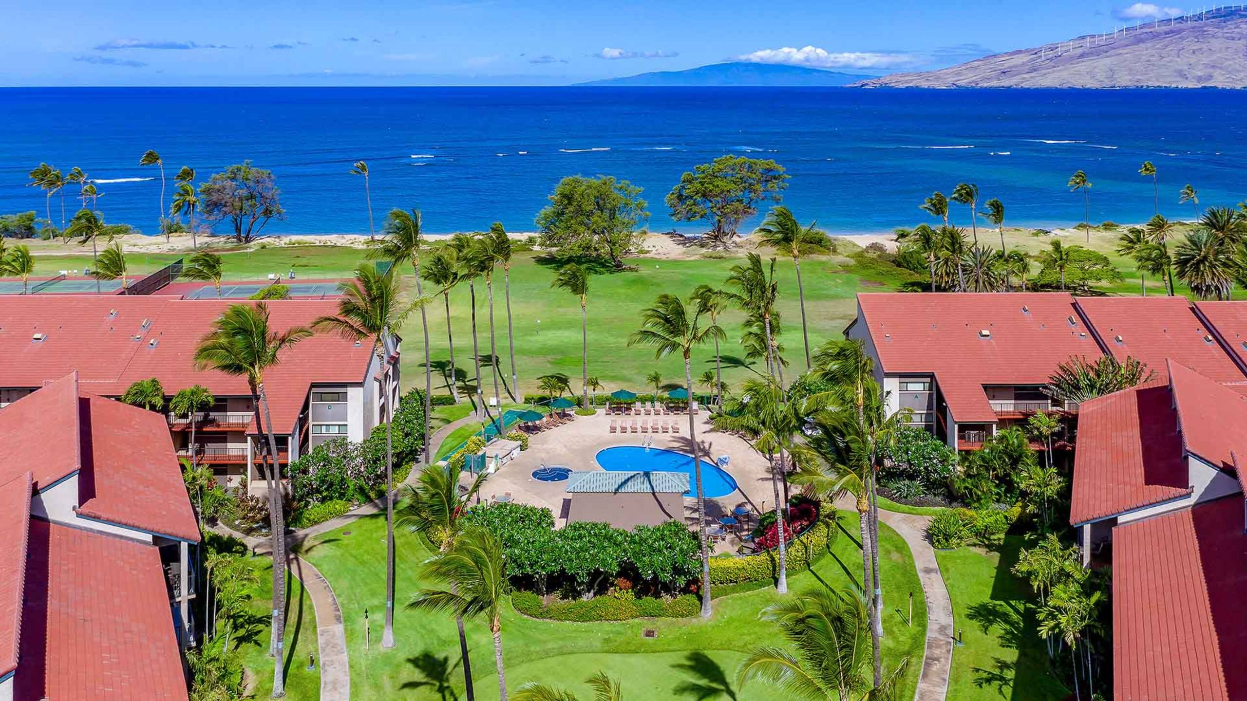 One Bd ocean view, Budget price, wifi, pool, A206 - Image 22