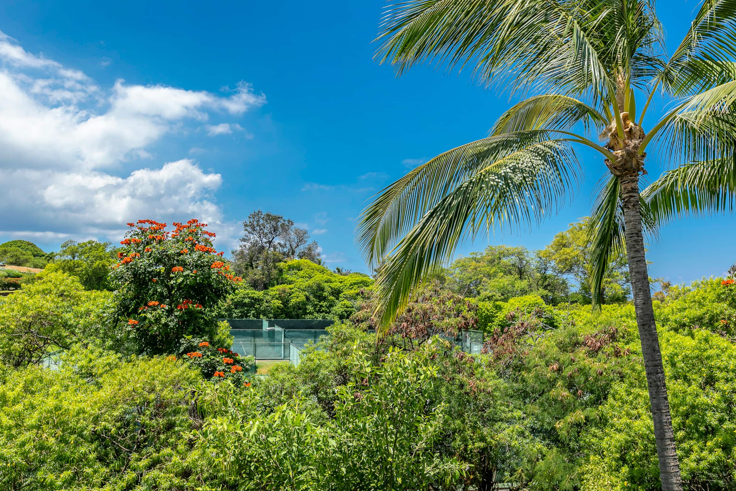 Condo in Wailea · ★4.66 · 1 bedroom · 2 beds · 2 shared baths - Image 4