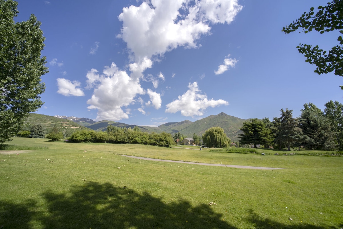 Winter & Summer Mountain Fun - Wintergreen 3203