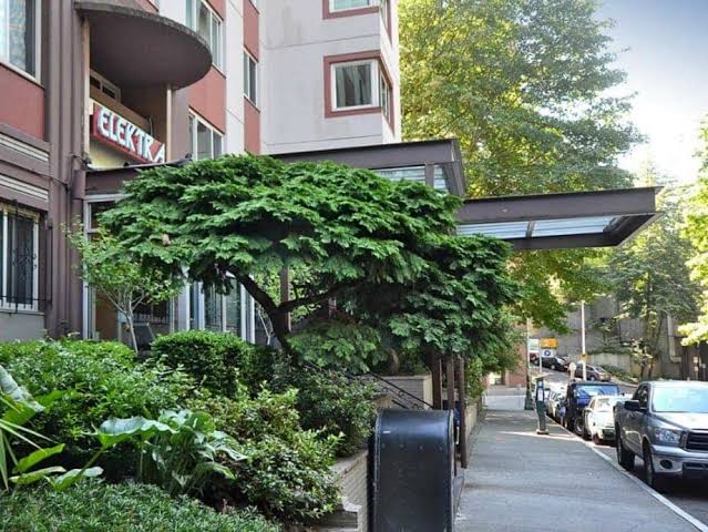 Downtown Condo