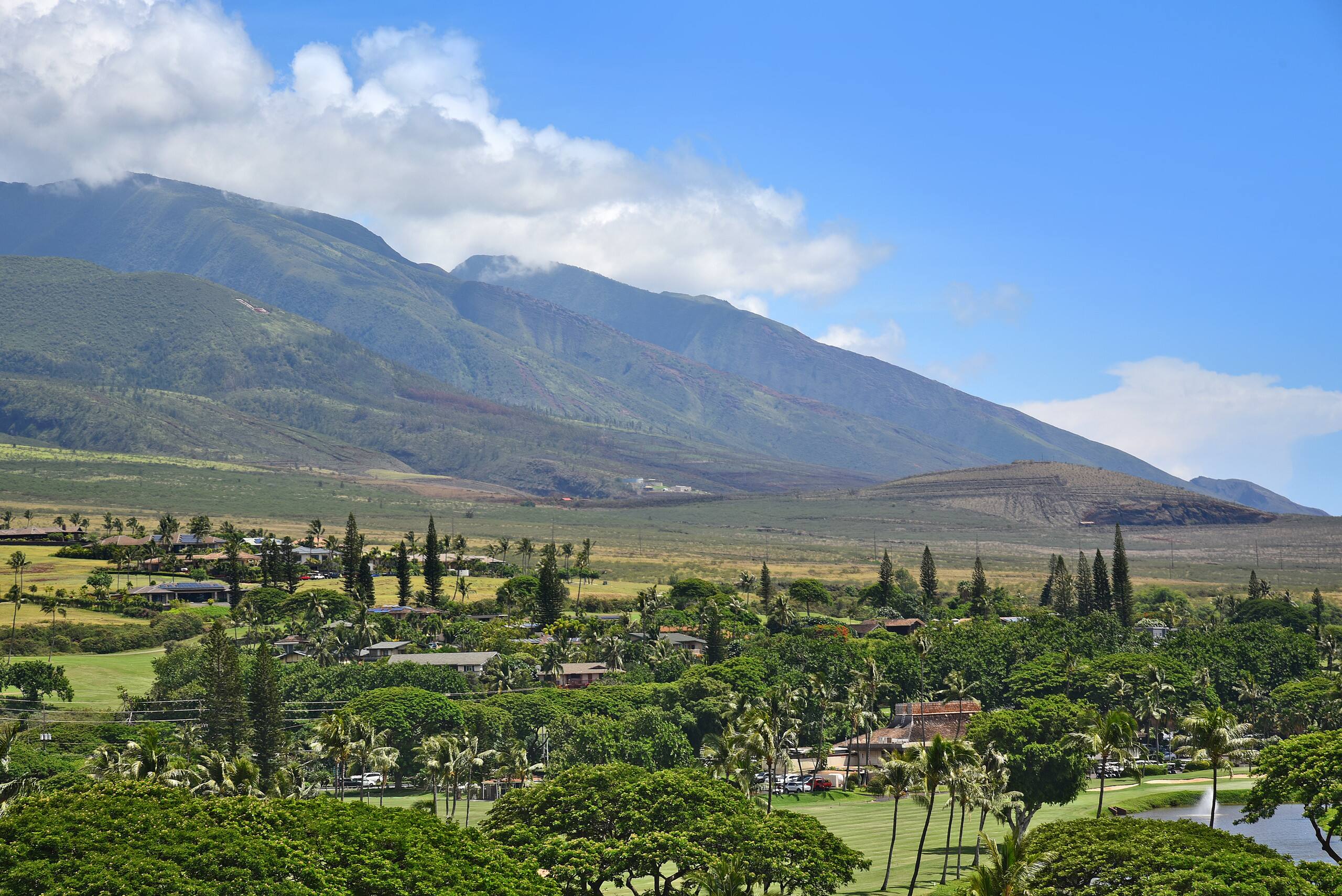 Condo in Lahaina · ★4.79 · 1 bedroom · 2 beds · 1 bath - Image 30