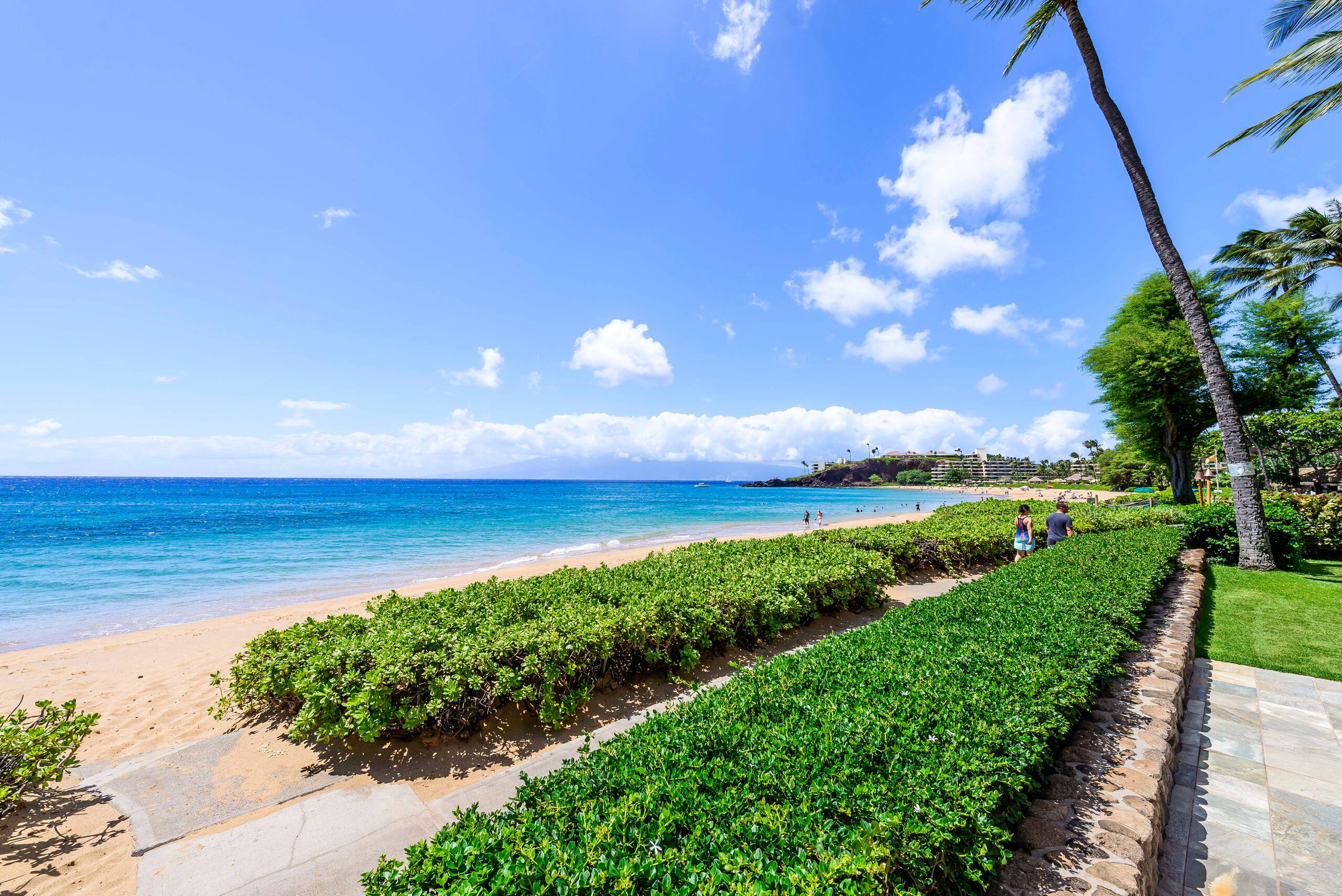 Condo in Lahaina · ★4.79 · 1 bedroom · 2 beds · 1 bath - Image 42
