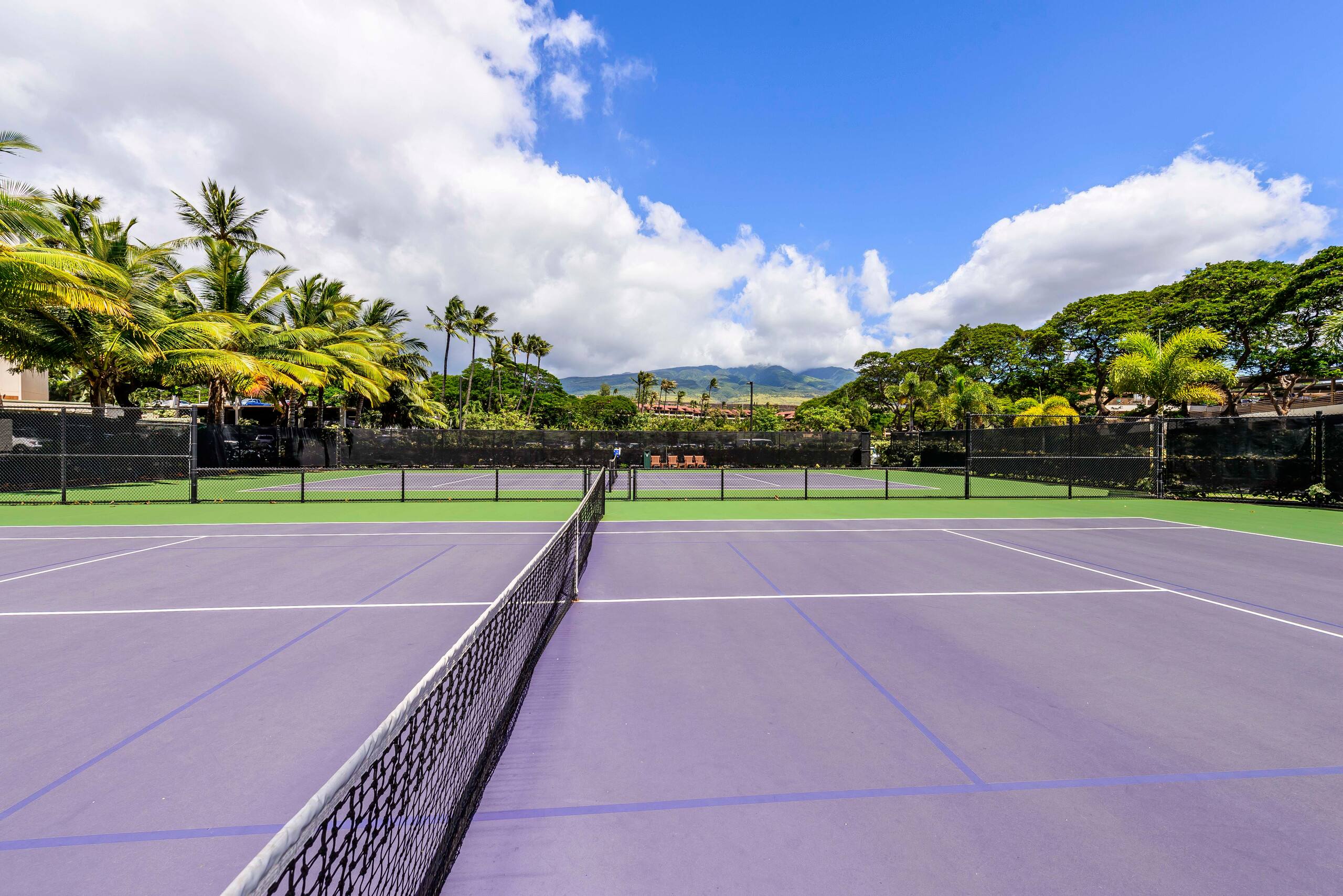 Condo in Lahaina · ★4.79 · 1 bedroom · 2 beds · 1 bath - Image 37