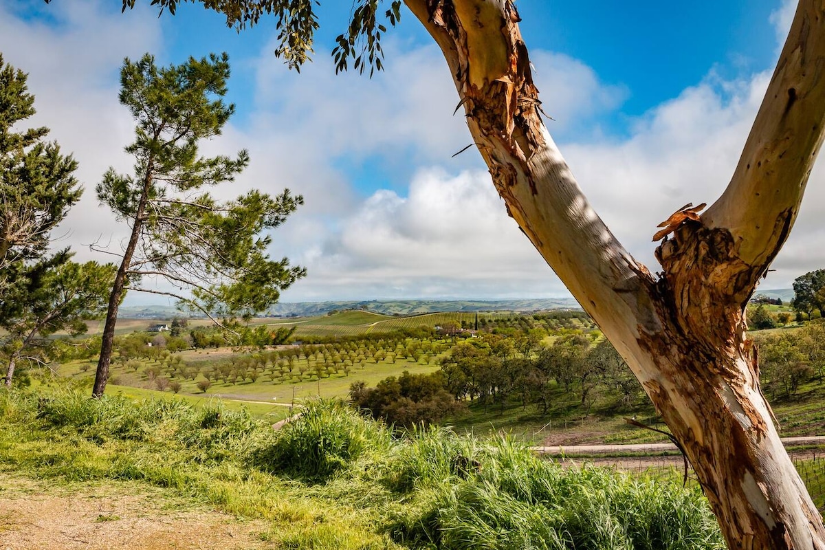 A scenic countryside view captures rolling vineyards and open pastures, framed by green grass and a eucalyptus tree. The sky features a mix of clouds and blue, creating a serene backdrop to the landscape that stretches into the distance.