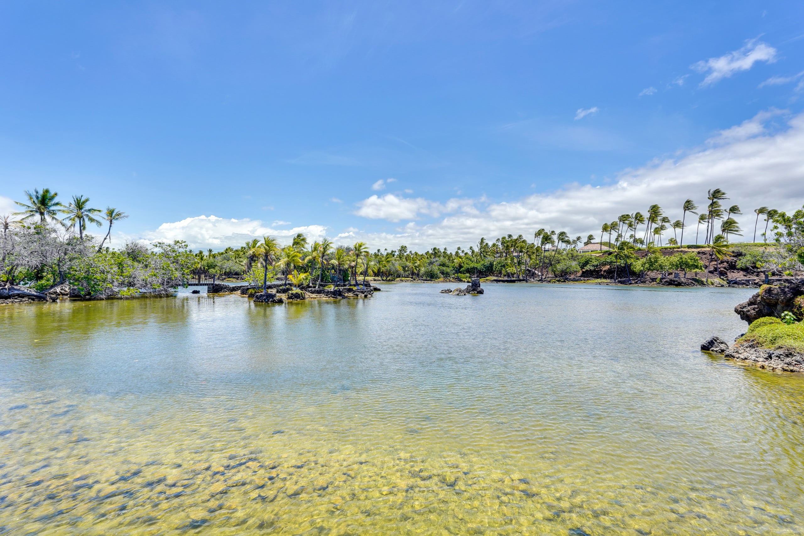Condo in Waimea · ★4.96 · 3 bedrooms · 4 beds · 2 baths - Image 33