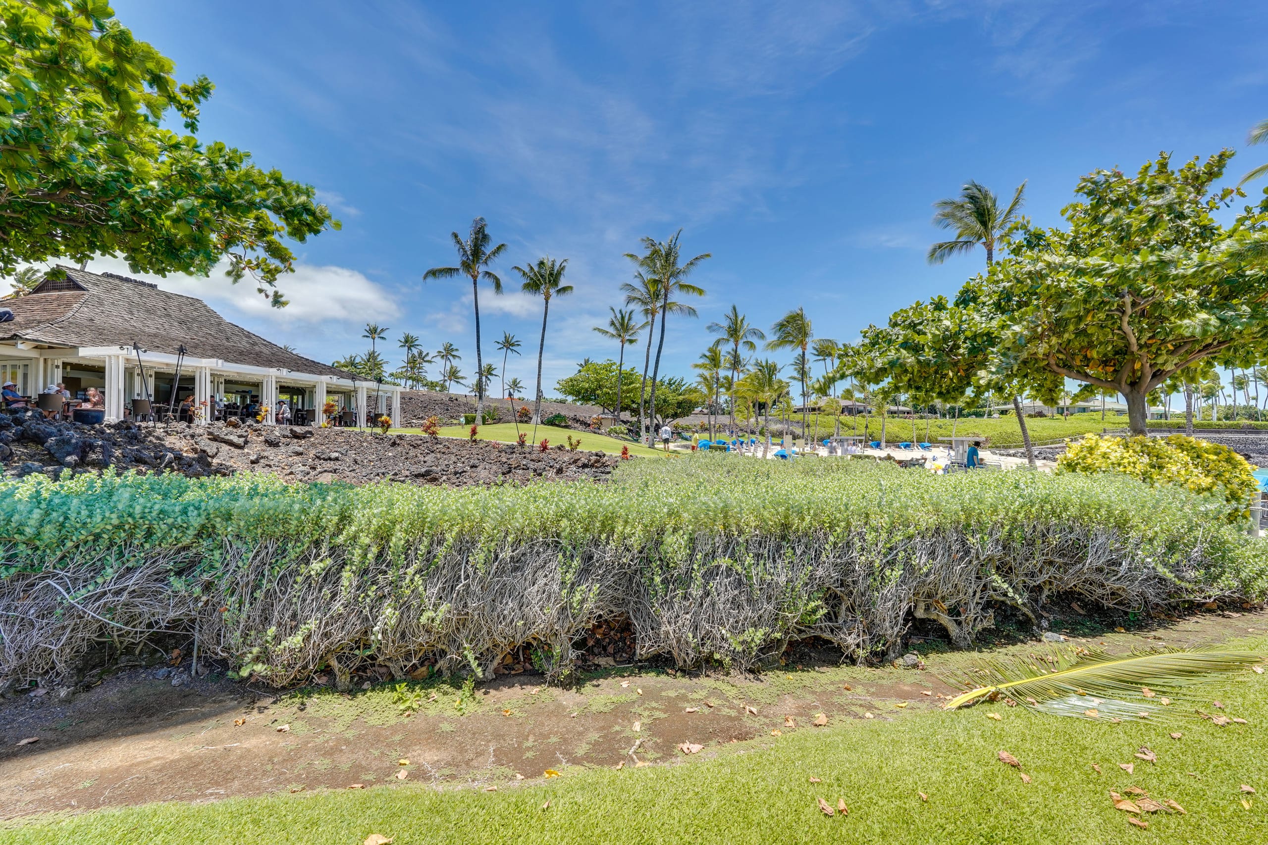 Condo in Waimea · ★4.96 · 3 bedrooms · 4 beds · 2 baths - Image 37