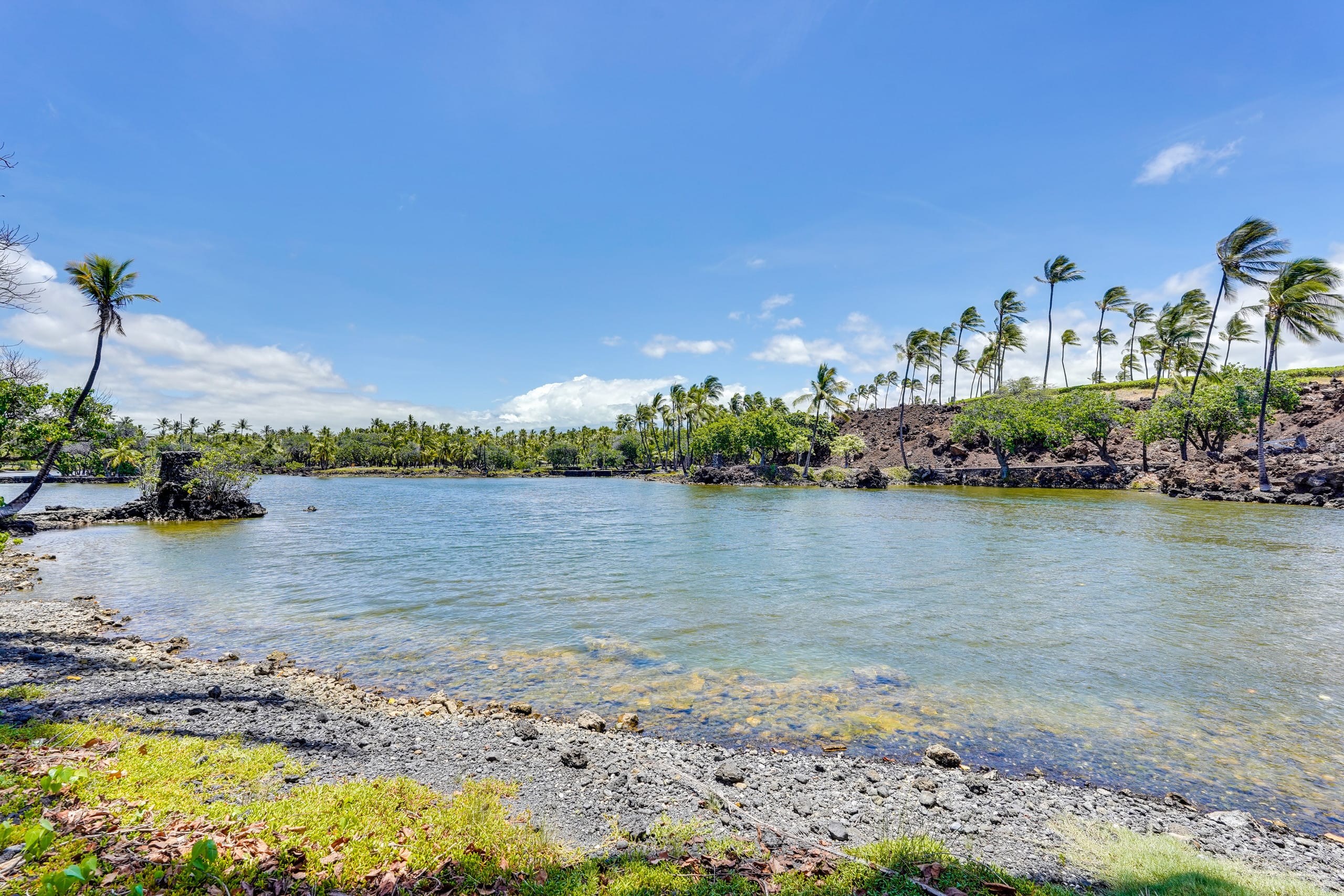 Condo in Waimea · ★4.96 · 3 bedrooms · 4 beds · 2 baths - Image 32
