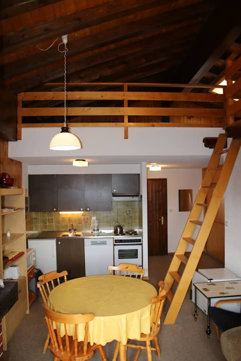 Mayens de l'Ours Dz 131 - Mountain apartment 6 per