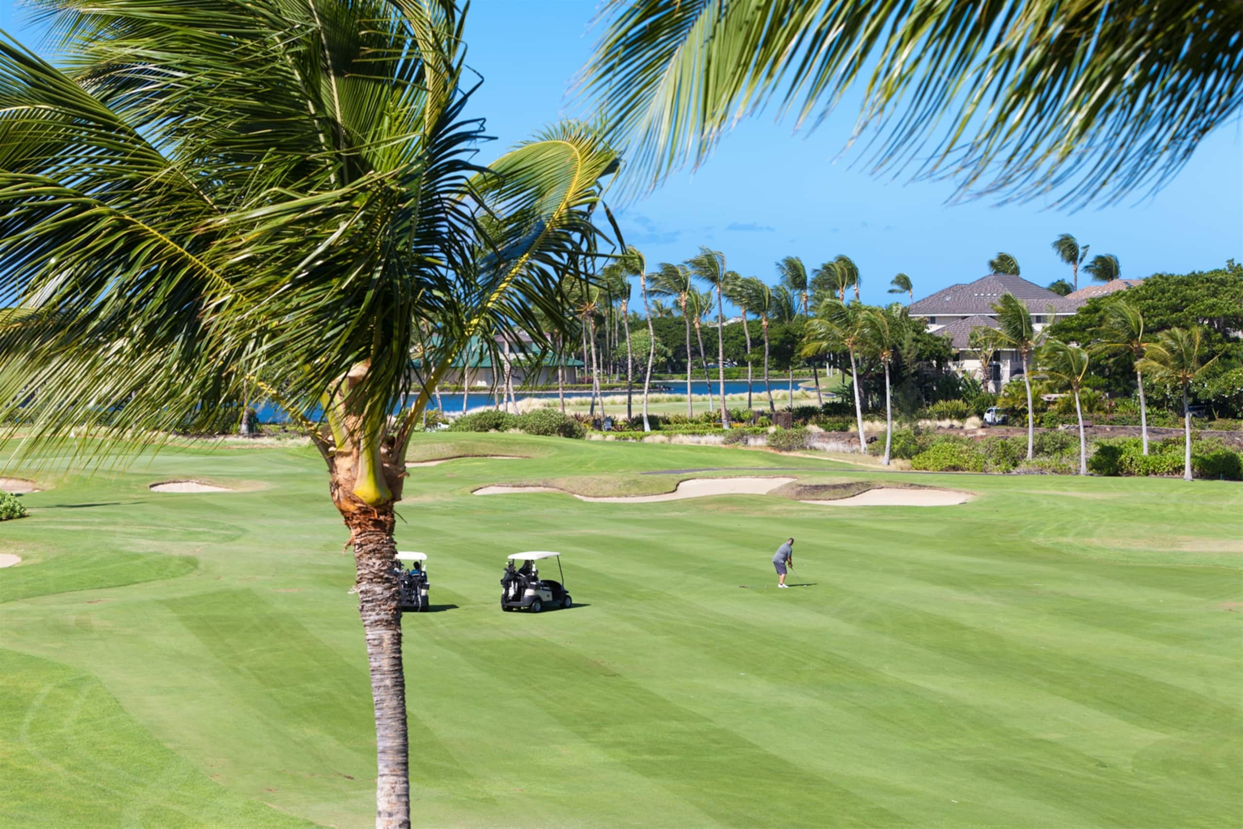 Hilton Pool Pass for 2026 M33 Waikoloa Beach - Photo 22