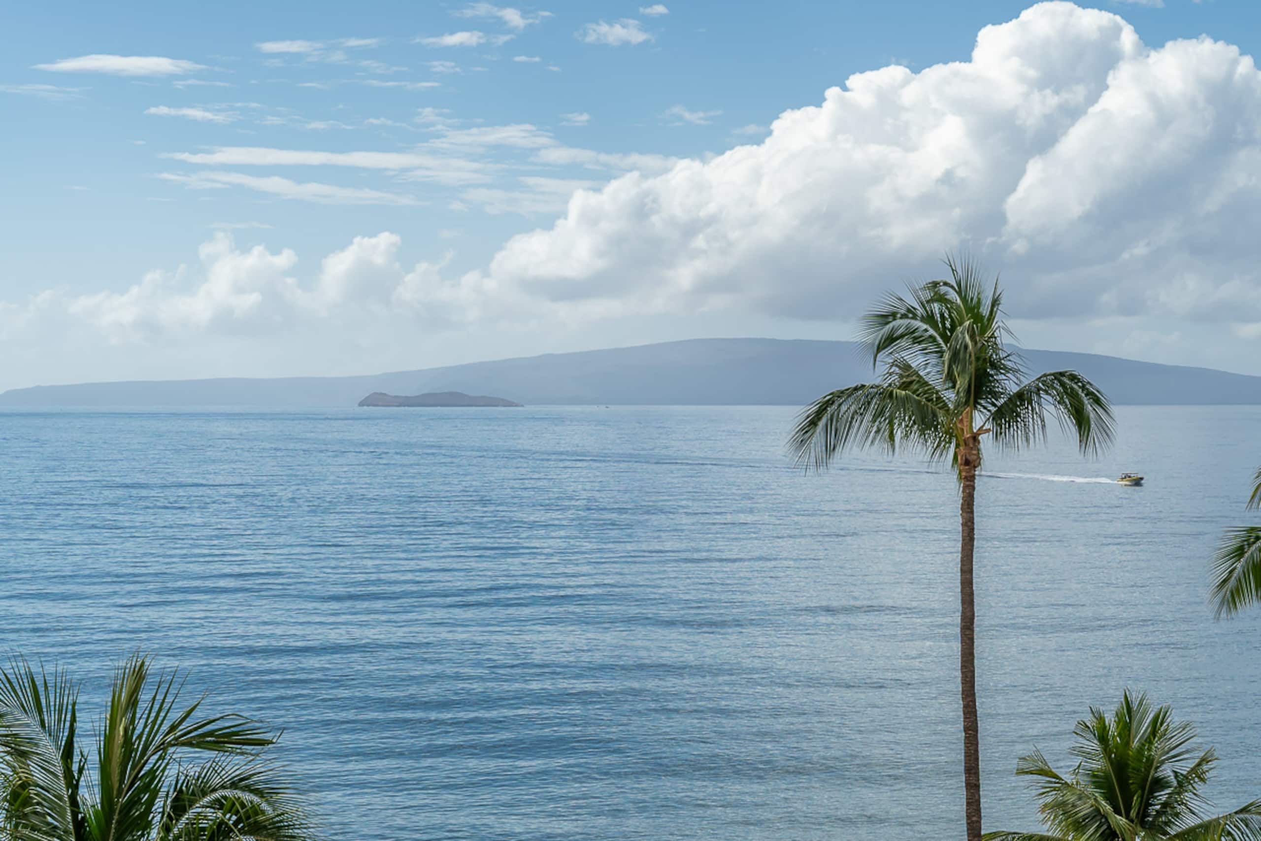 Condo in Kihei · ★5.0 · 2 bedrooms · 3 beds · 2 baths - Image 35